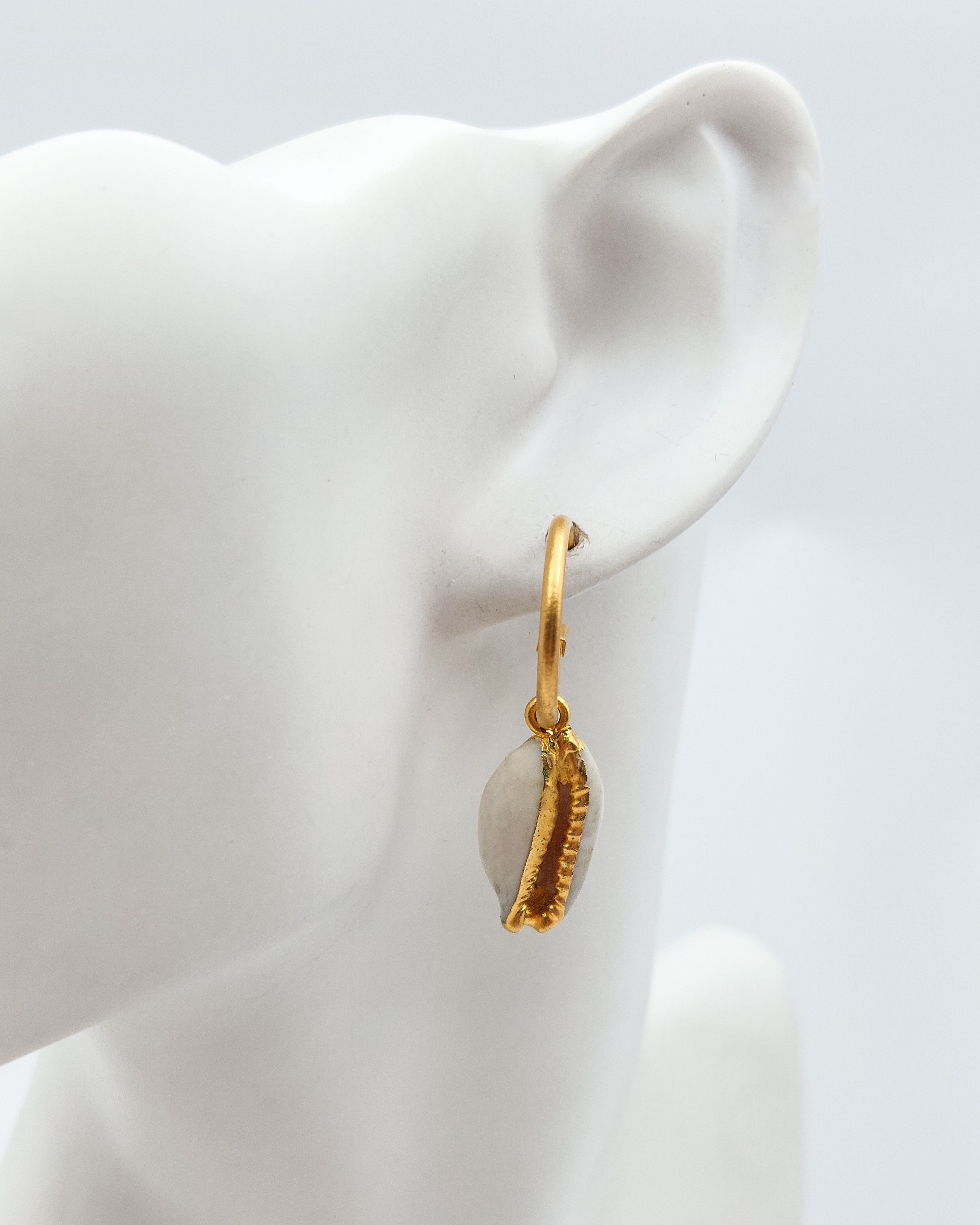 עגילי חישוק קונכיות