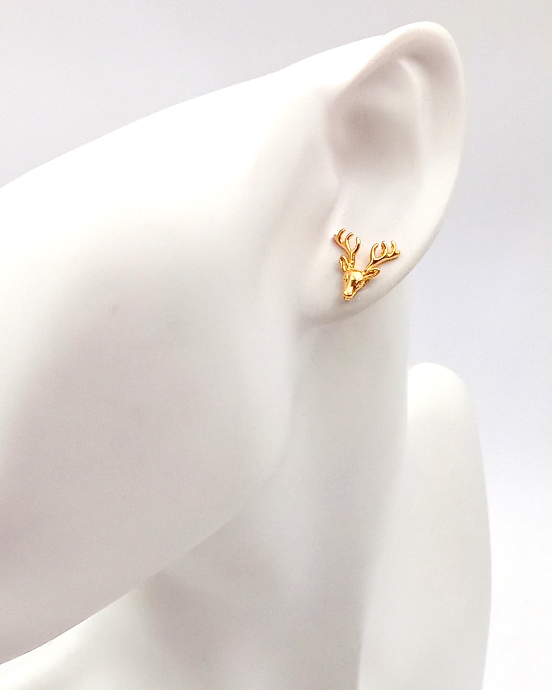 עגילי אייל הצפון צמודים