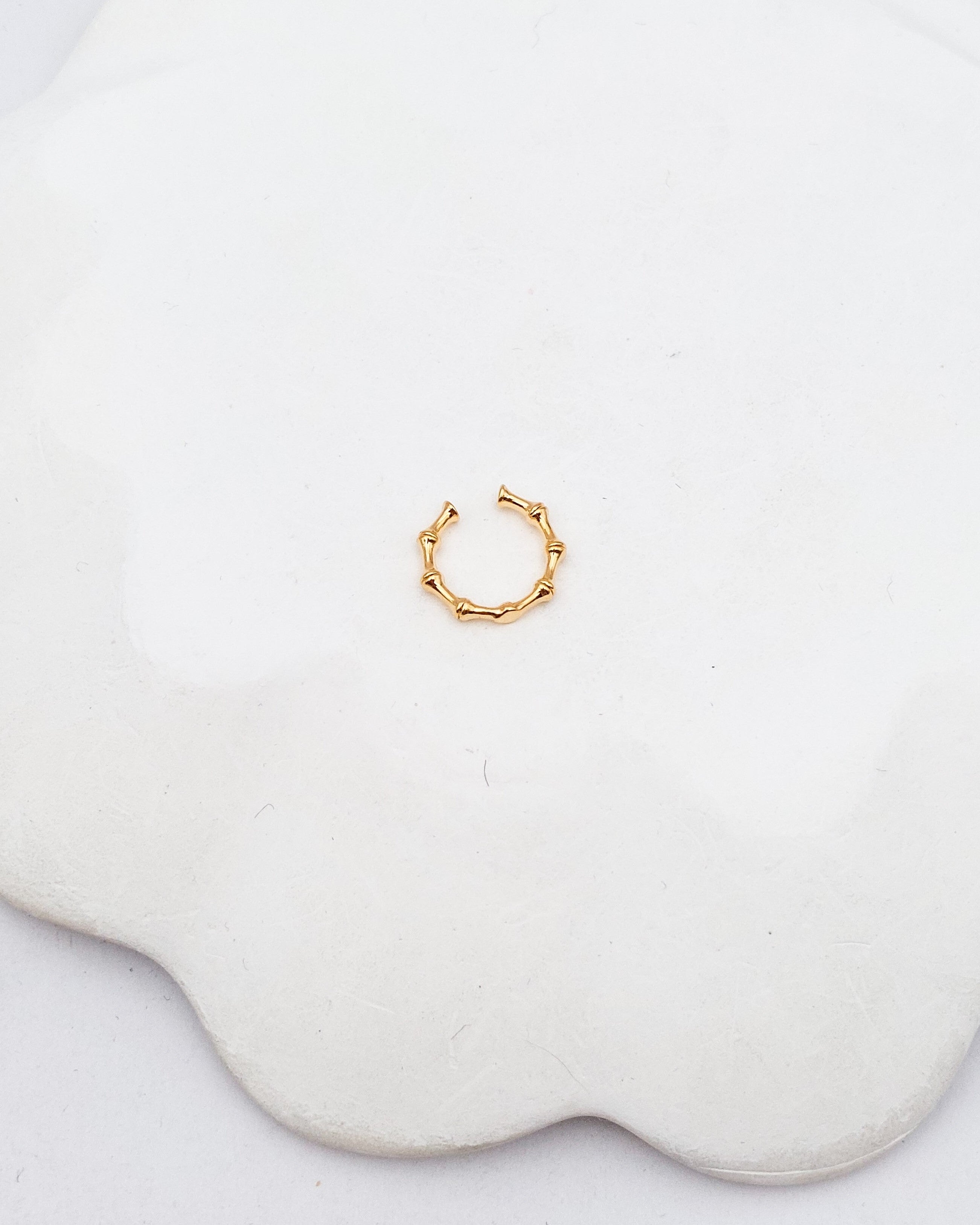 עגיל הליקס במבוק