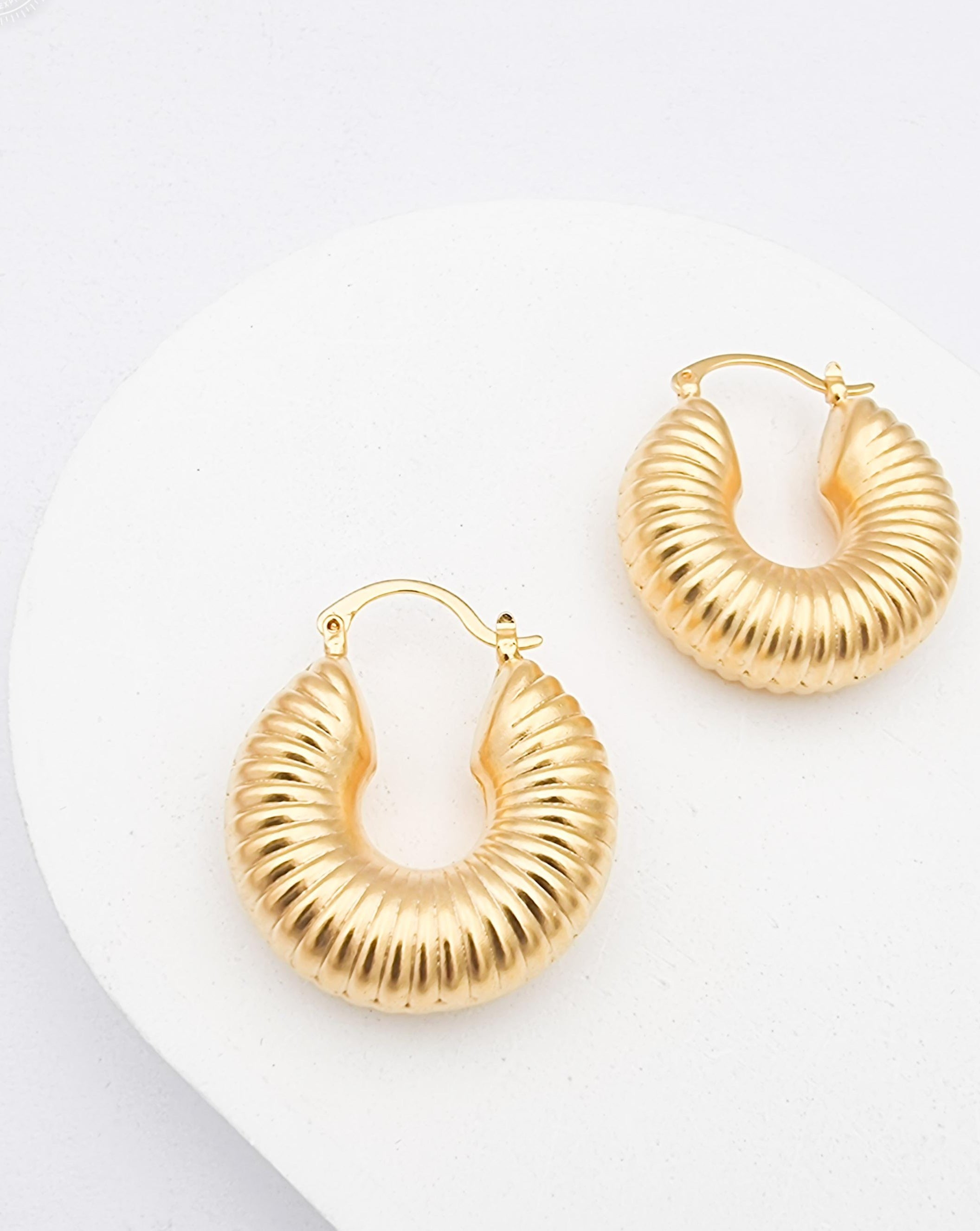 עגילי חישוק קונכיה